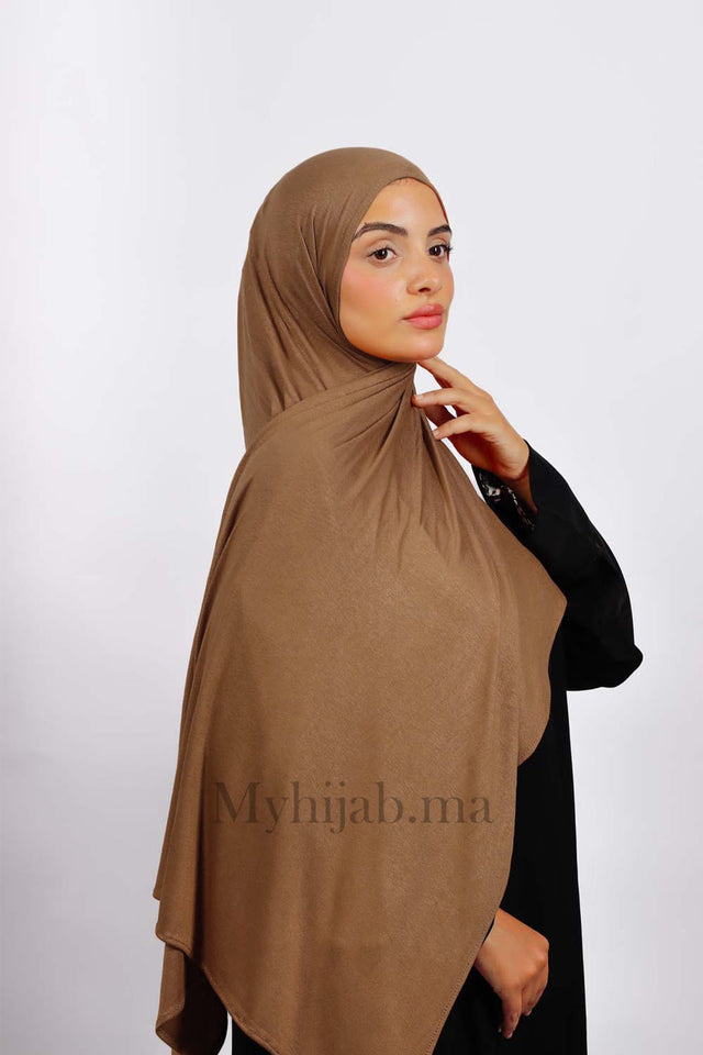 Lycra Coton - Marron taupe