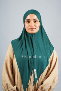 Foular Lycra - Vert pertol