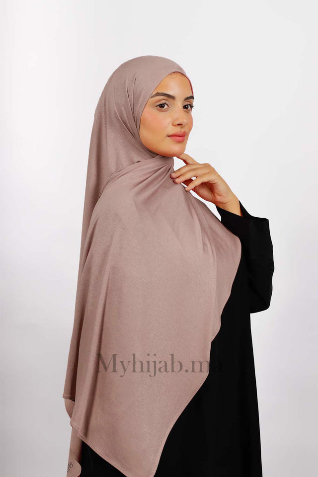 Lycra Coton - Taupe rose