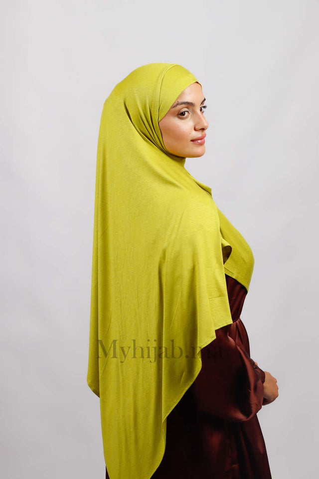 Lycra deux plis - Pistache