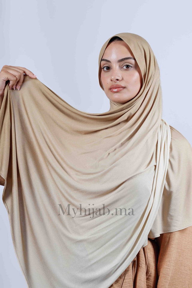 Lycra degradé - Beige
