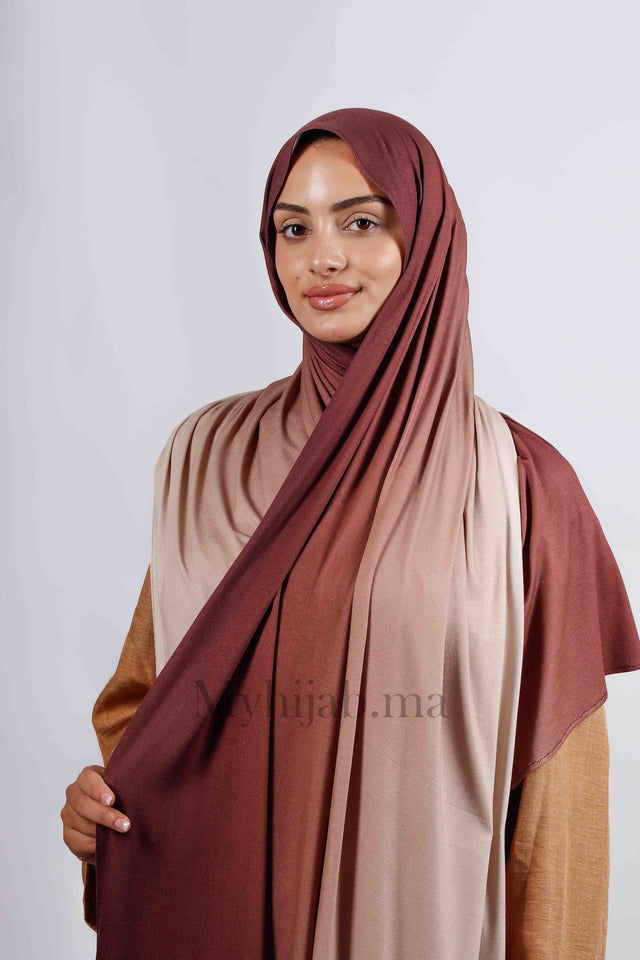Lycra degradé -Marron Beige