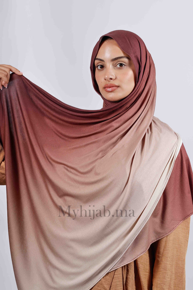 Lycra degradé -Marron Beige