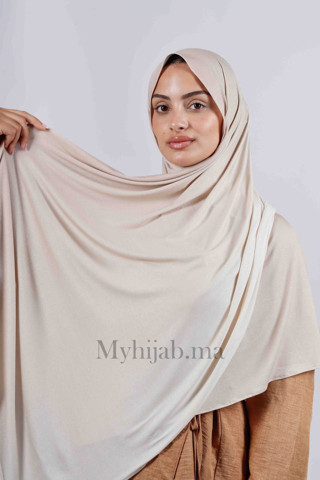 Lycra degradé - Beige pink