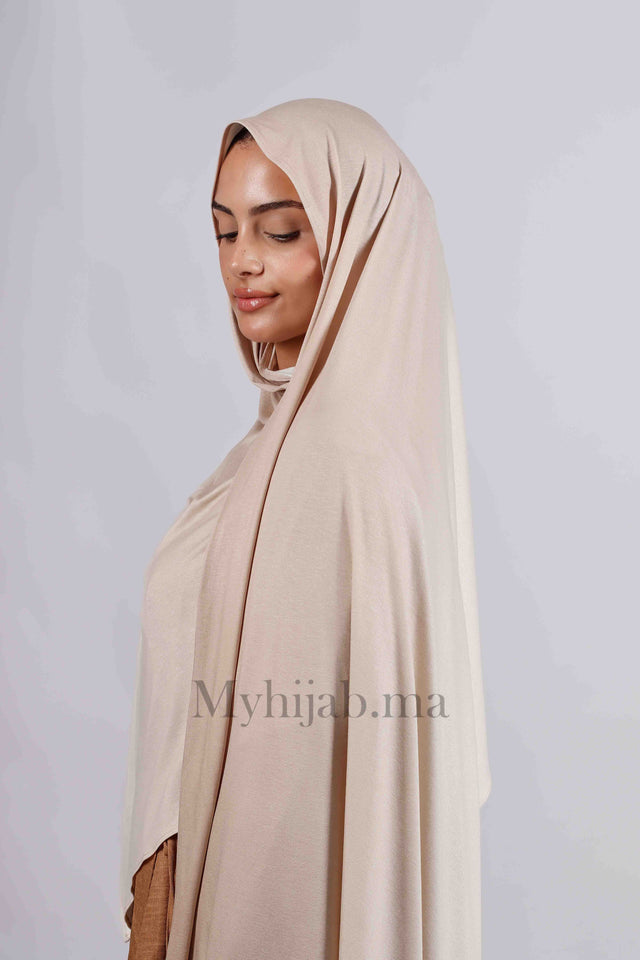 Lycra degradé - Beige pink