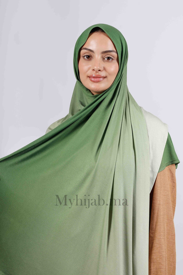 Lycra degradé - Vert