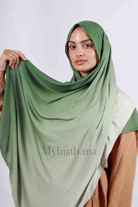 Lycra degradé - Vert