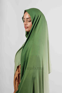 Lycra degradé - Vert