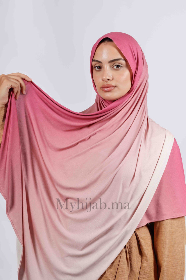 Lycra degradé - Rose