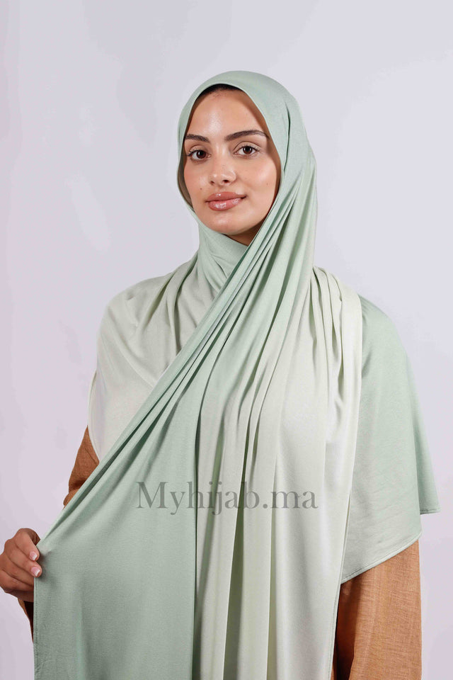 Lycra degradé - Vert pastel