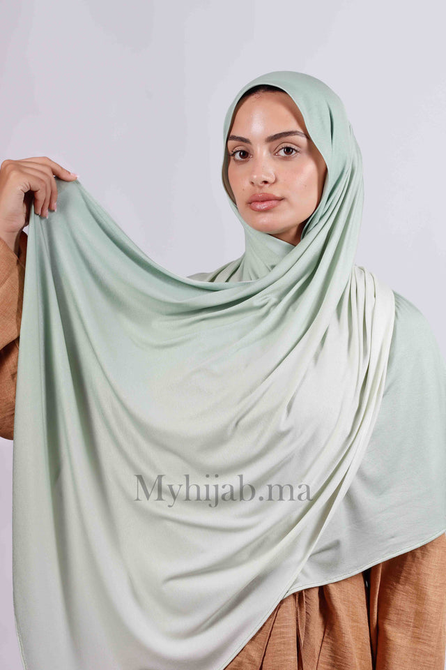 Lycra degradé - Vert pastel