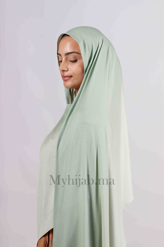 Lycra degradé - Vert pastel