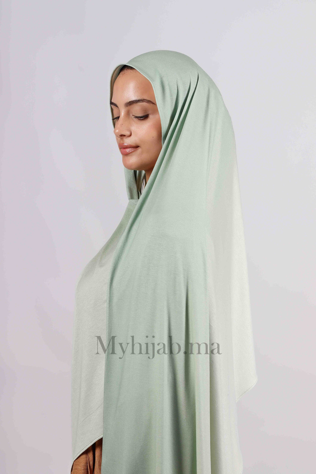 Lycra degradé - Vert pastel