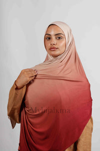 Lycra degradé -Brique Rose