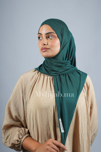 Foular Lycra - Vert pertol